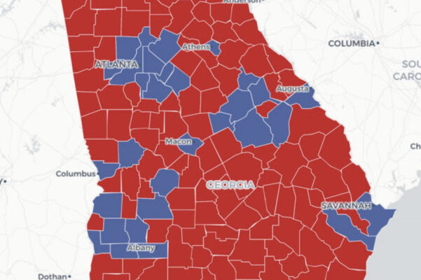 George Election Results US Senate
