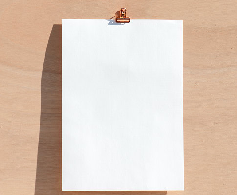 Blank white paper original Photo by Elena Joland on Unsplash