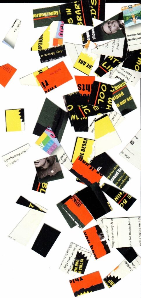 Hills District 37 Amherst Milford cut up mailer GrokPAC