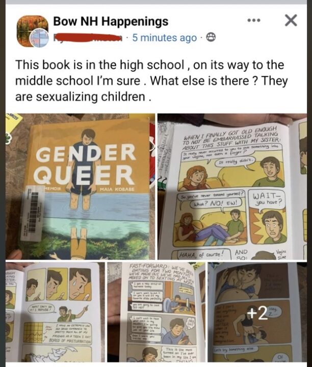 Gender queer book pages