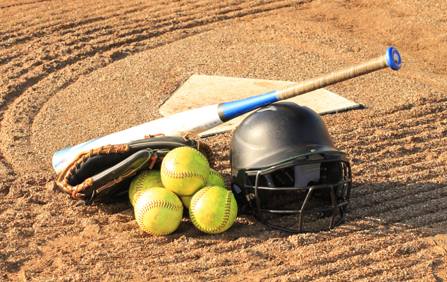 Softball bat glove helmut sports