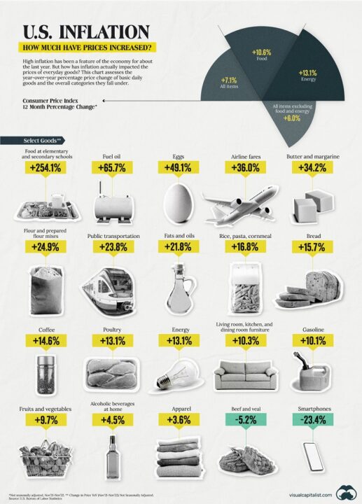 US Inflation_Dec30 2022 Visual Capitalist