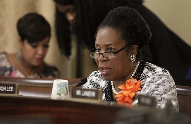 Sheila Jackson Lee Flicker US Customers and Border Protection Glenn Fawcett 29568172152_3afd26e99a_c