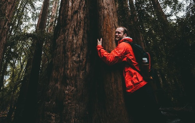 Tree hugger tree hugging forest