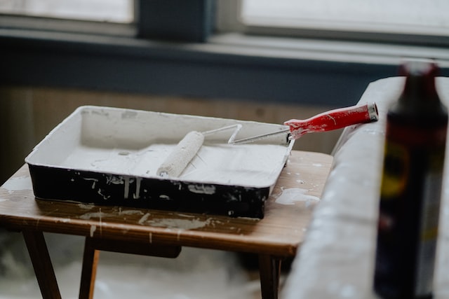 Paint tray paint roller