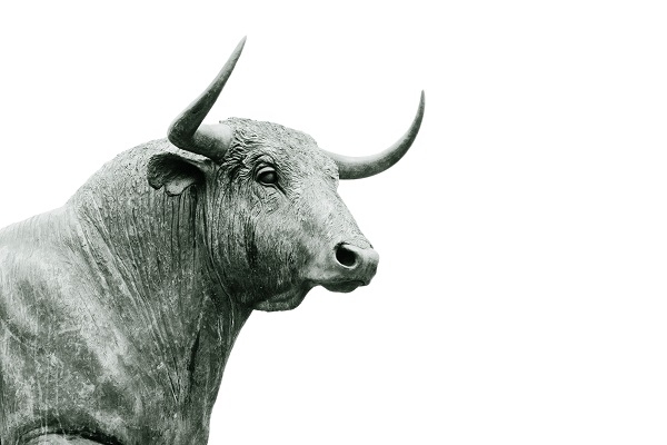 bull stock markets original Photo by Hans Eiskonen on Unsplash
