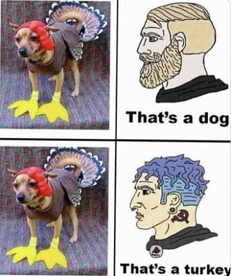 Dog dressed as a turkey is still a dog not Trans Powerline