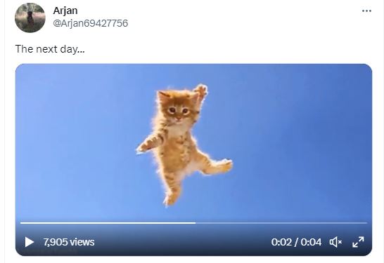 Kitty in flight