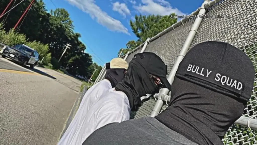 Bully Squad - Care of John Stark on Substack