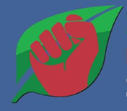 Eco-Socialism