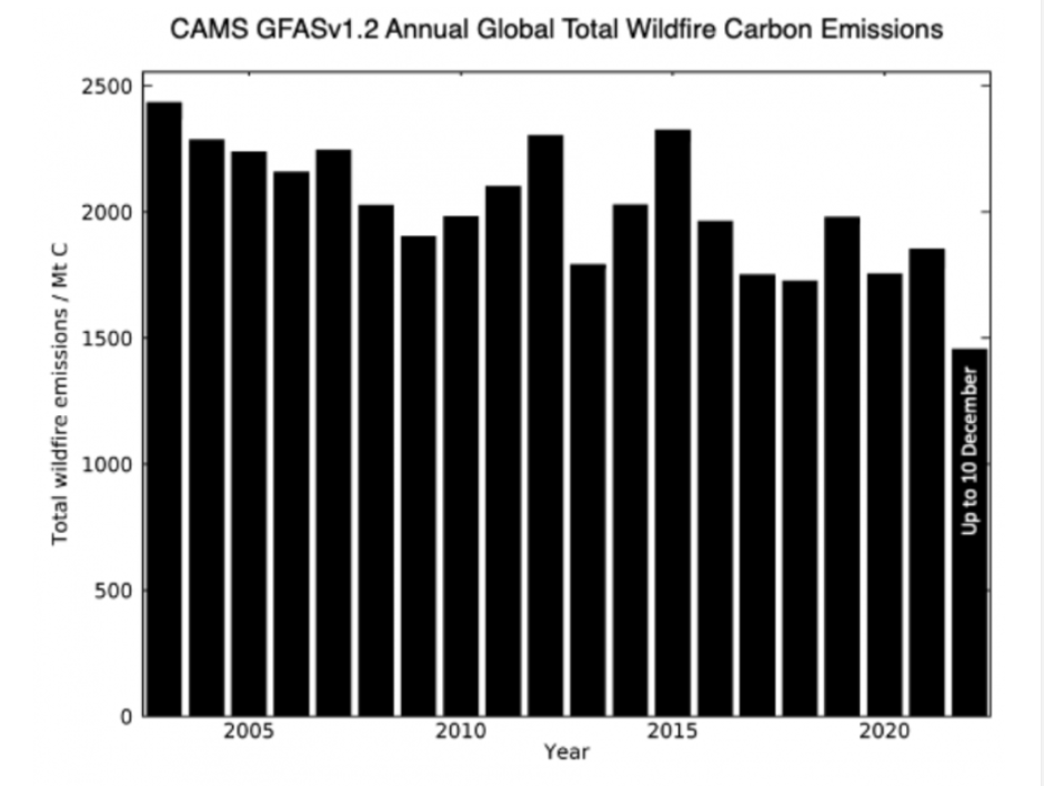 Global Forest fires