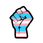 Transgender flag fist