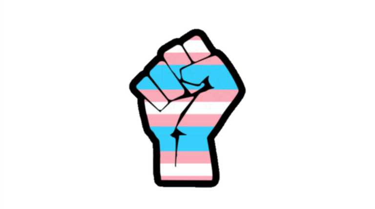 Transgender flag fist