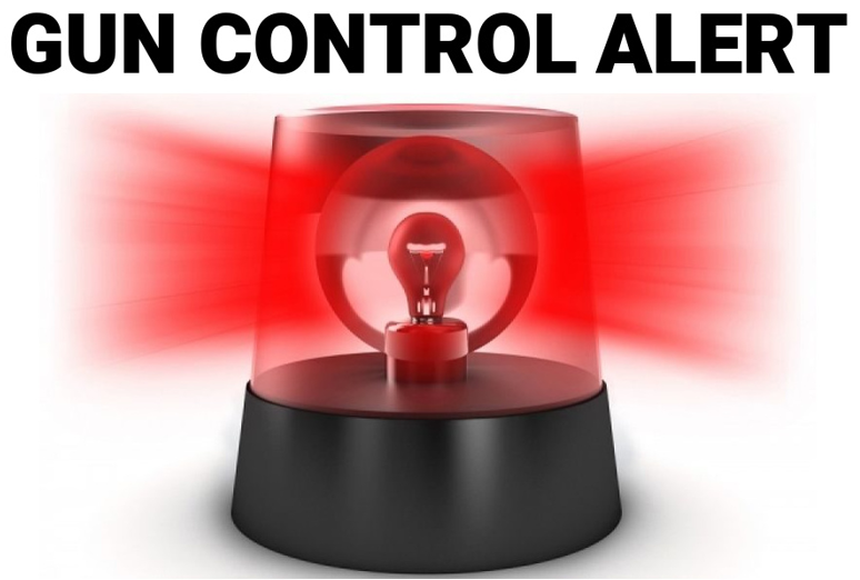 Gun Control Alert