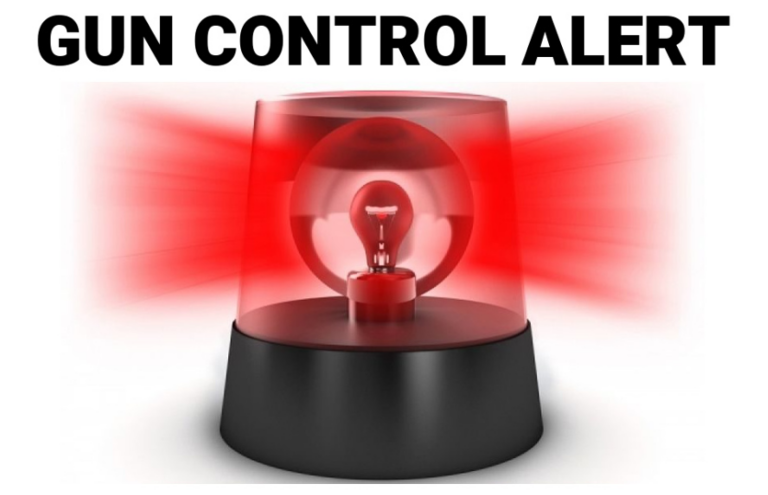 Gun Control Alert