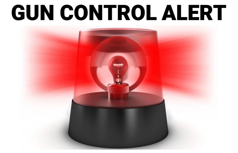 Gun Control Alert