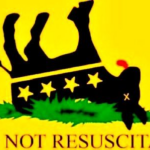 dead donkey