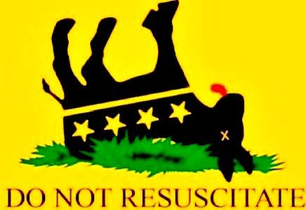 dead donkey