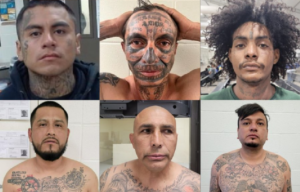 Mexica Drug Gang members Border Patrol arrests
