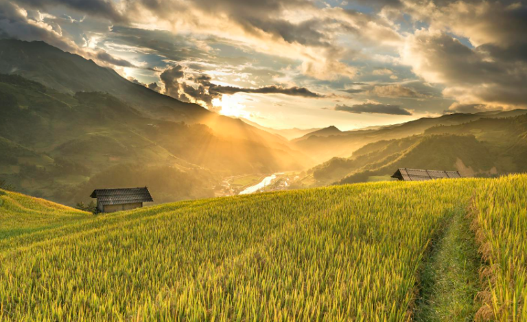 Farm field food vally - image credit door to freedom