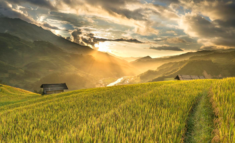 Farm field food vally - image credit door to freedom