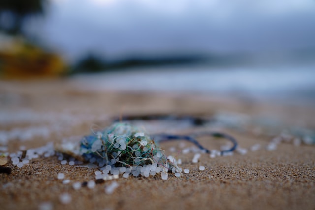 plastic beach photo by soren-funk-jQuky0VINAI-unsplash