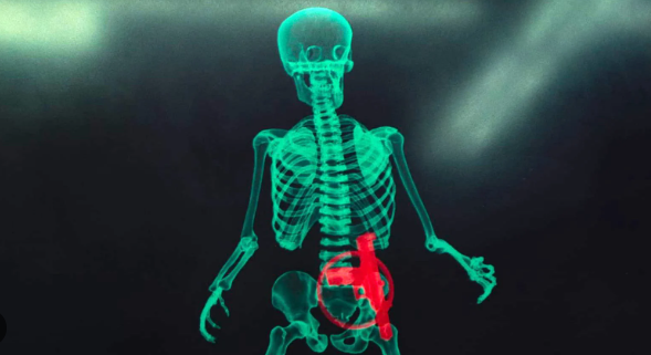 Total Recall X-Ray skeleton gun
