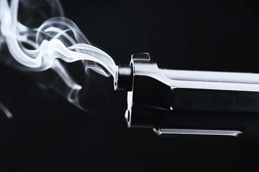 Gun confiscation bills shot down