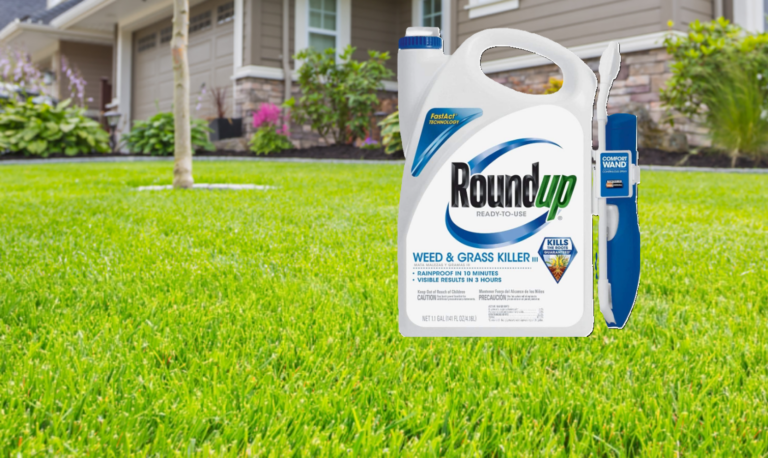 Roundup weed killer and a green lawn