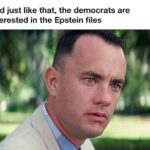 dems want to see epstein files