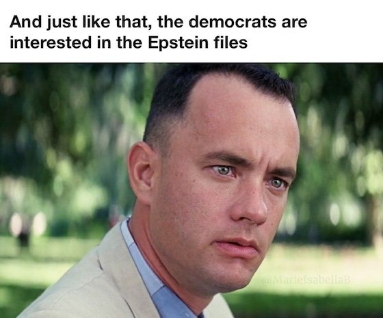 dems want to see epstein files