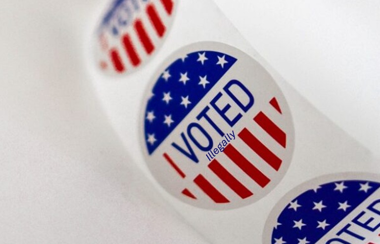 I voted illegally sticker