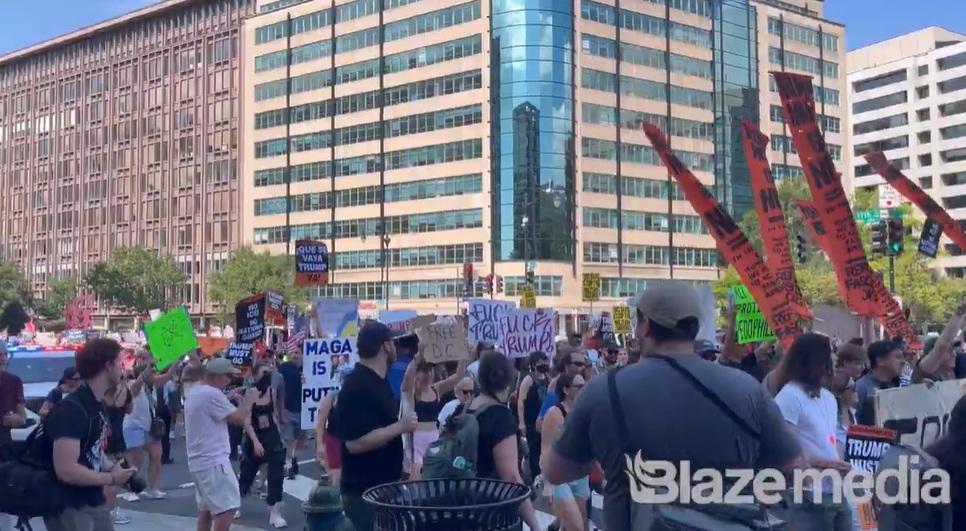 free dc white dem protest