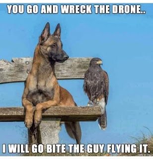 drone-deterrent.jpg