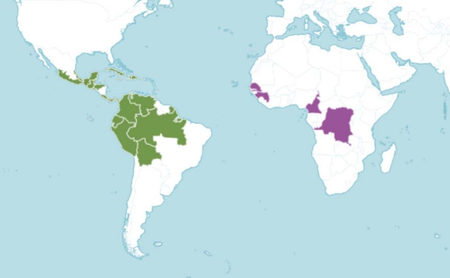balsa wood map - EIA report