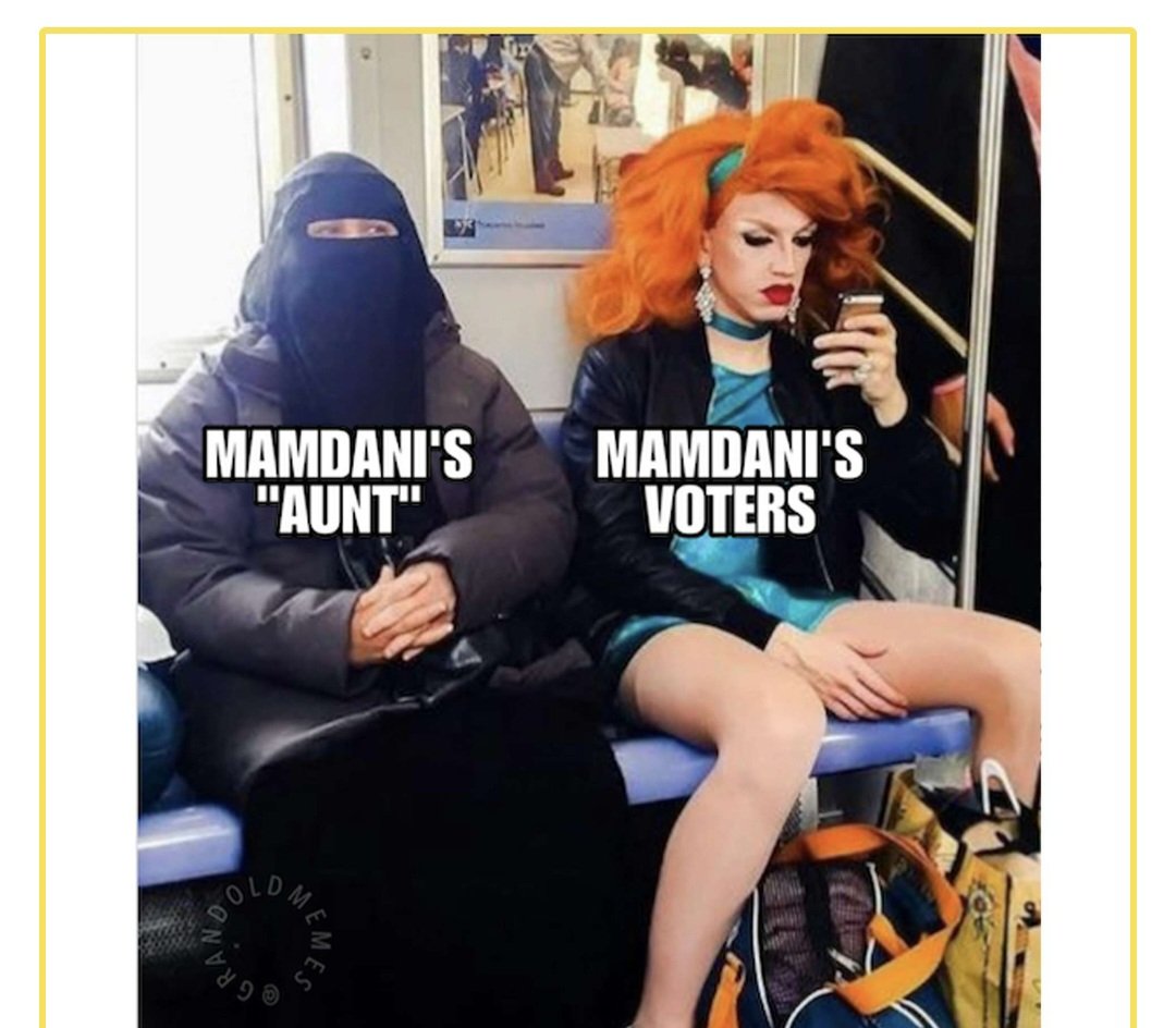 mamdanis aunt mamdamis voters