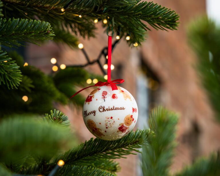 Merry Christmas ornament