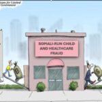 TAXDOLLARD SOMALI FRAUD DNC