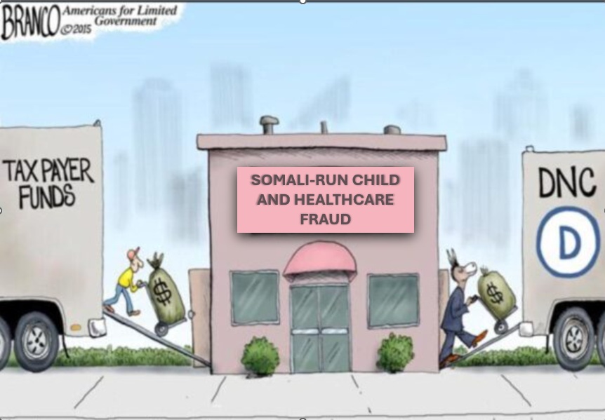 TAXDOLLARD SOMALI FRAUD DNC