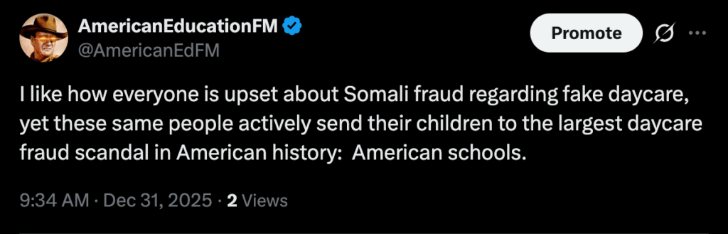 Somali daycare fraud public education fraud