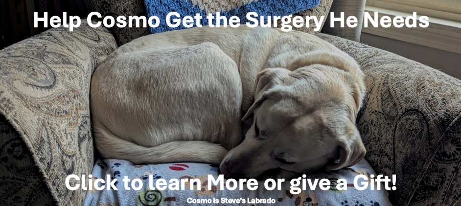 cosmo donation ad newsletter