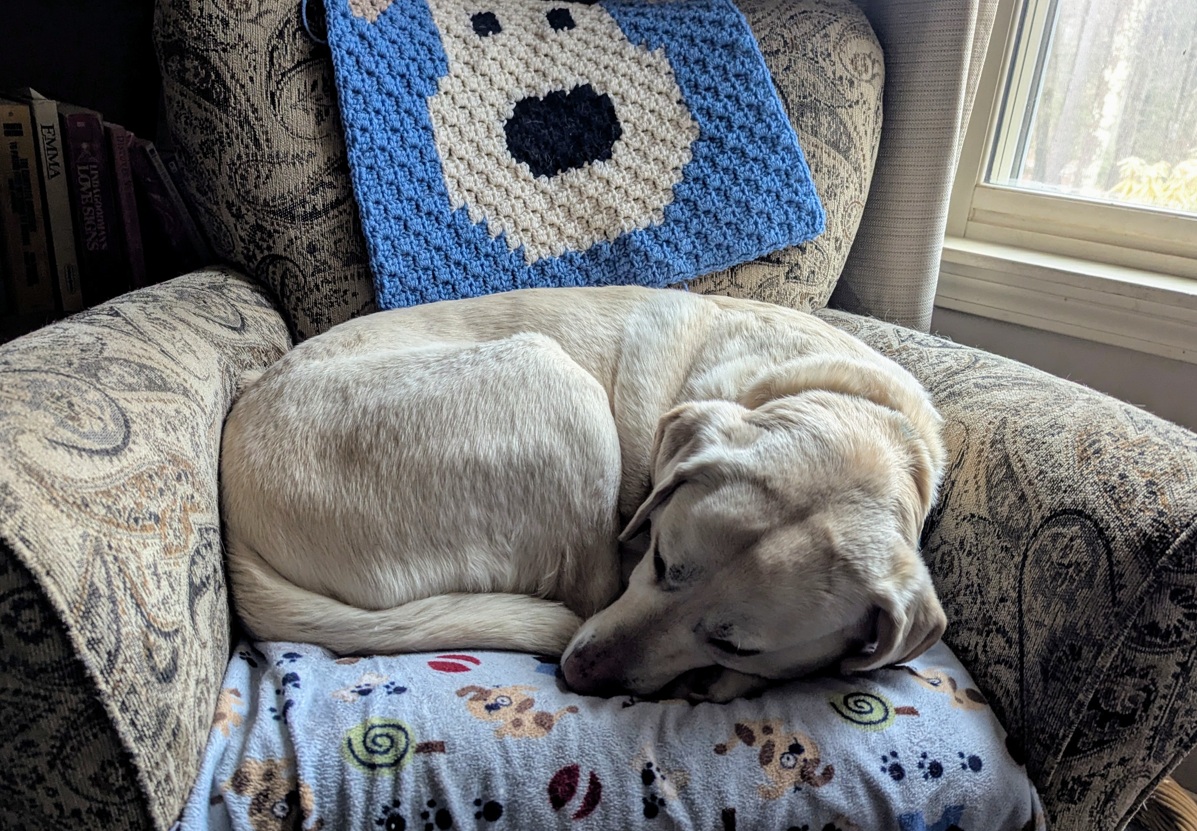 cosmo in his chair