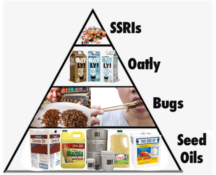 progressive food pyramid
