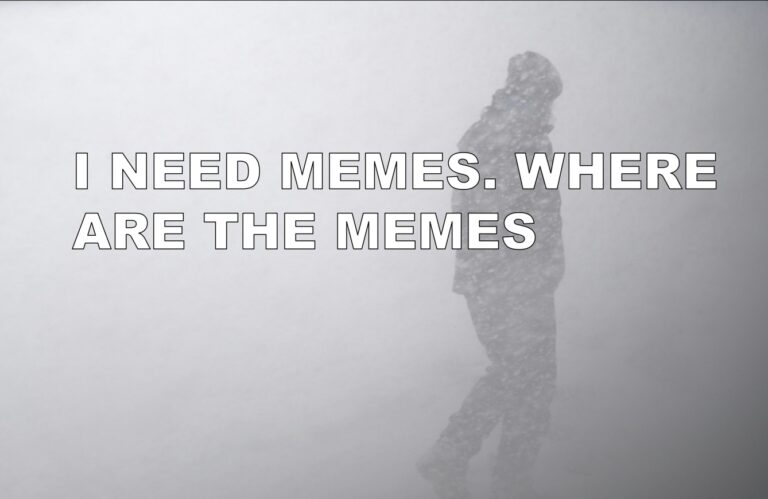 snowstorm meme guy
