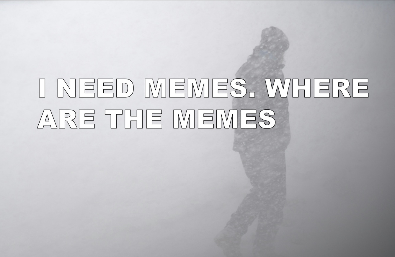 snowstorm meme guy