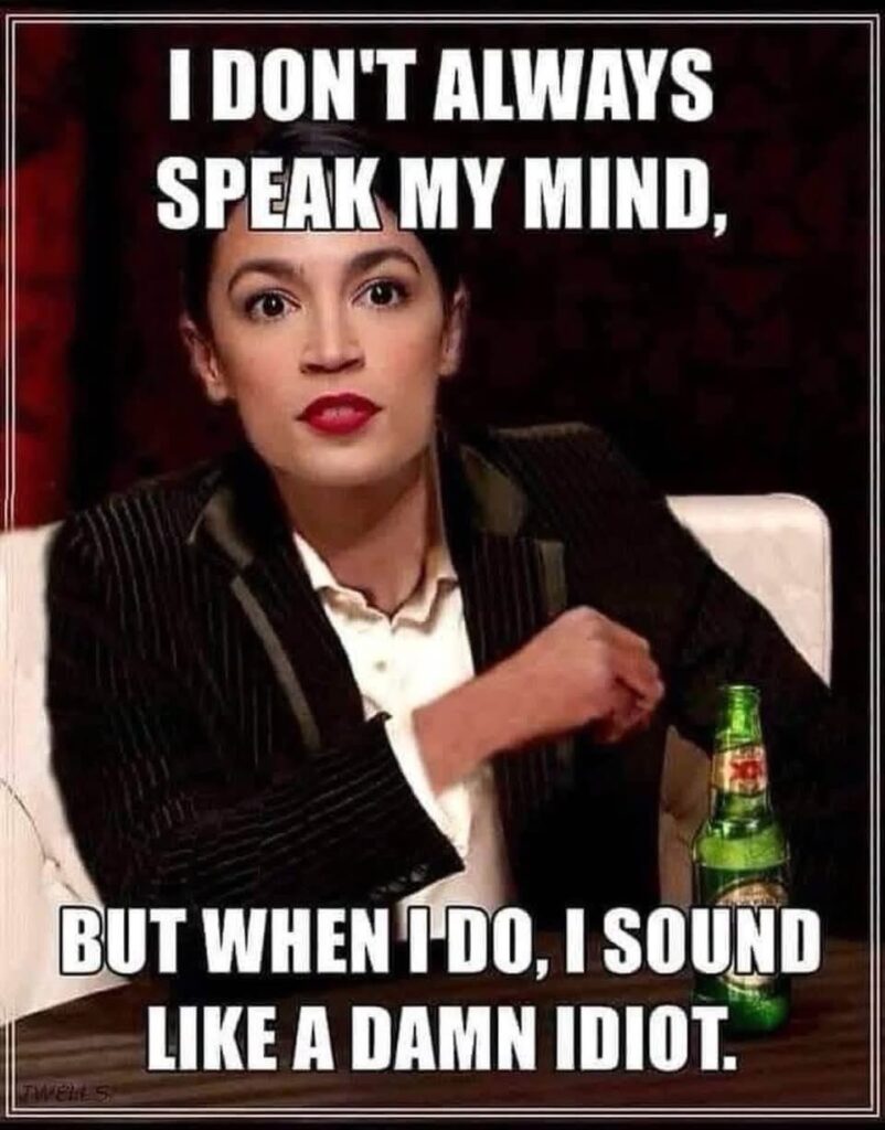 aoc-idiot-802x1024.jpeg