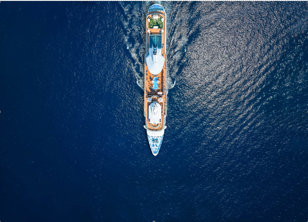 cruise ship viewed from above