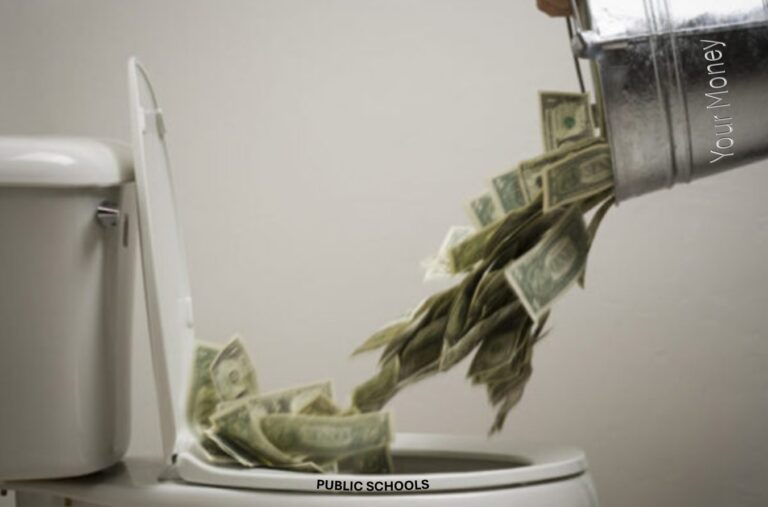 Money flushed down the Public school toilet