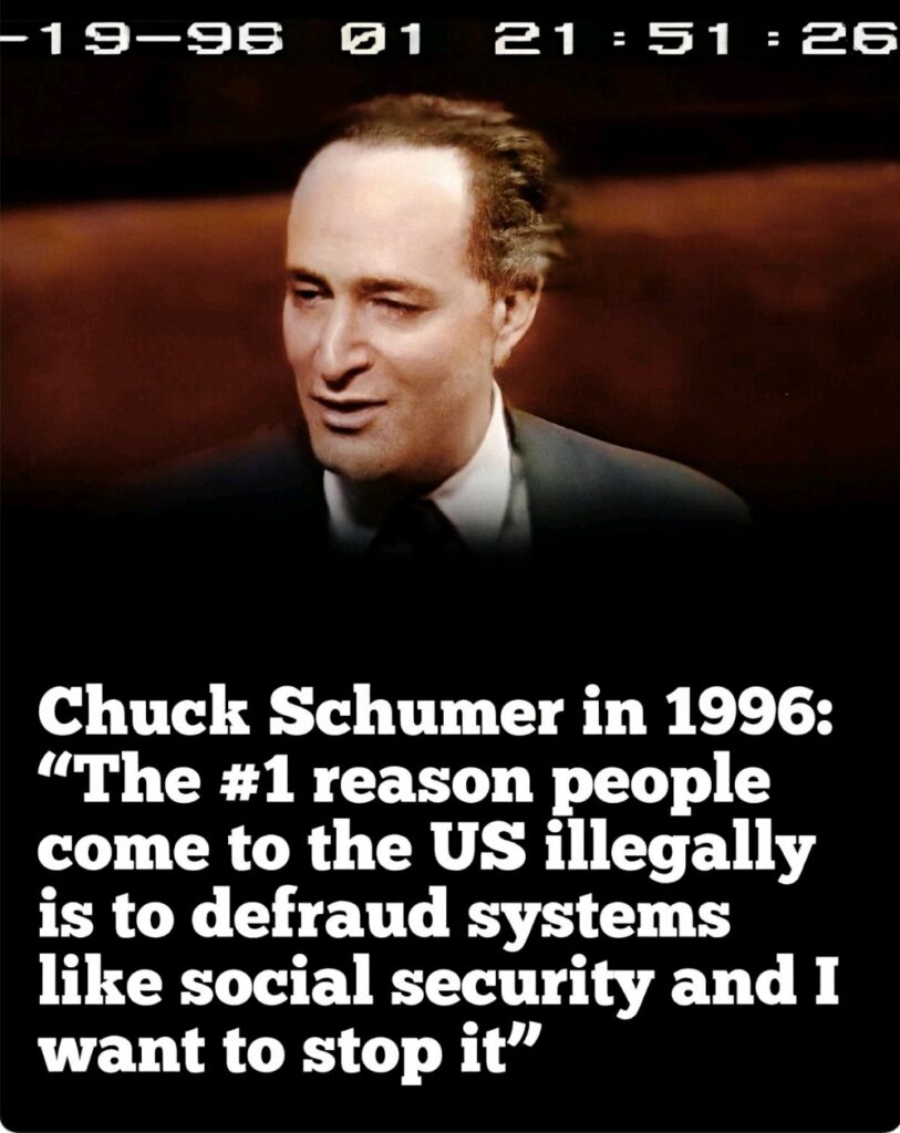 schumer-illegals-fruad-813x1024.jpg