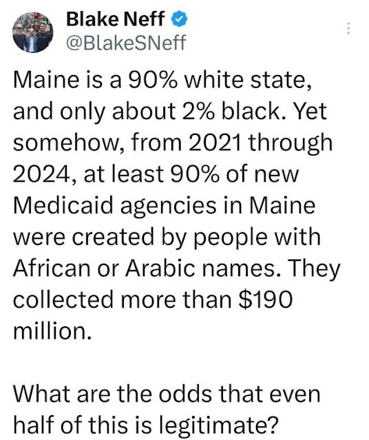 funny-thin-in-maine.jpg